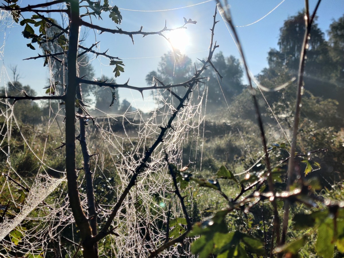 Terugblikken en vooruitkijken