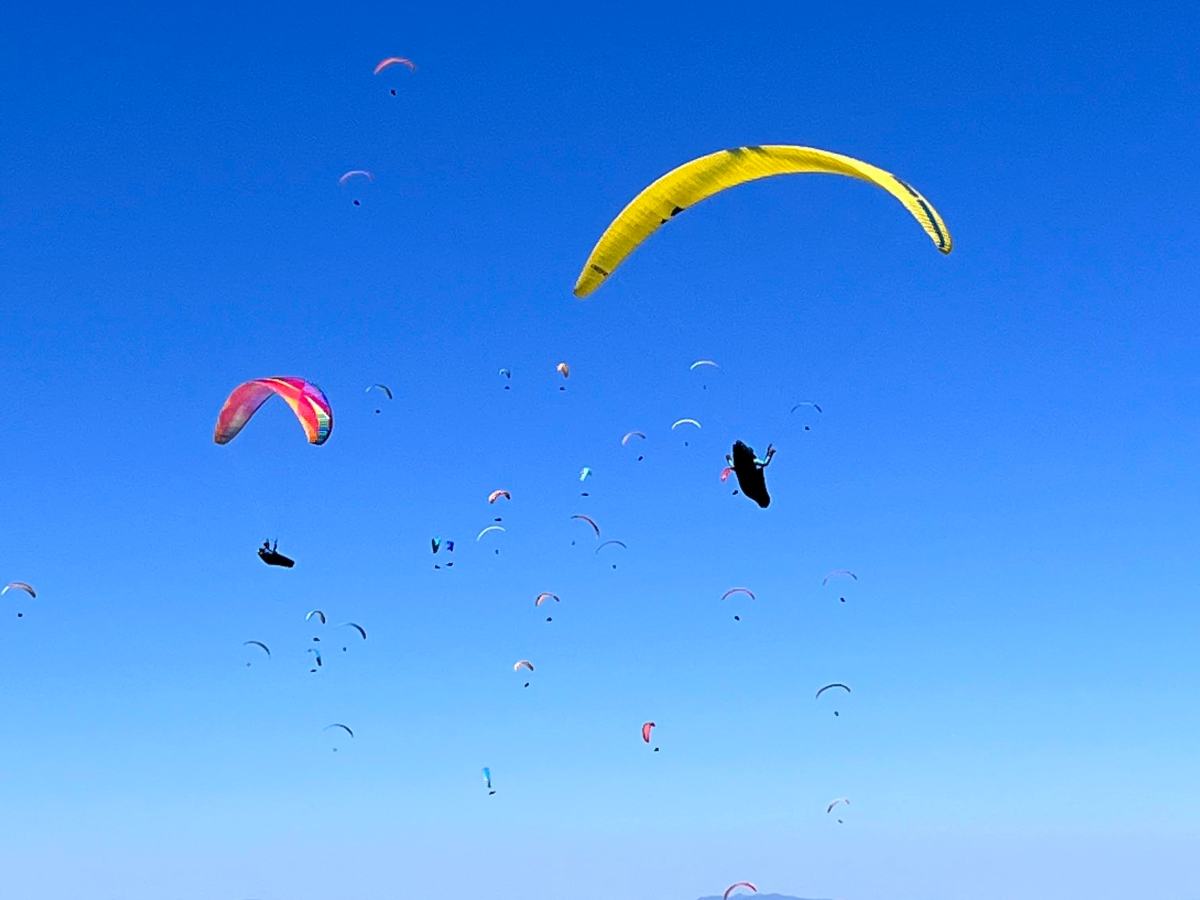 Kies het juiste harnas