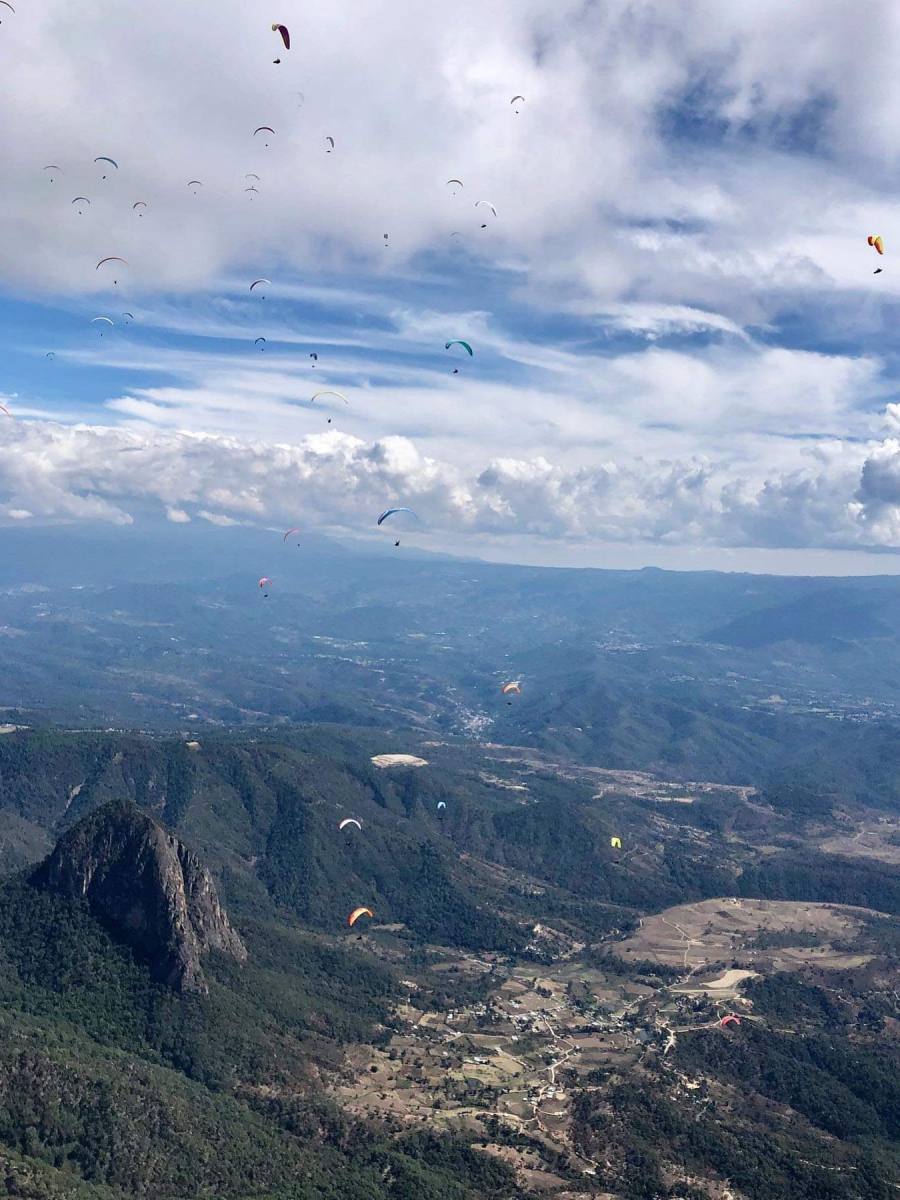 Drie vliegsteks voor in de winter