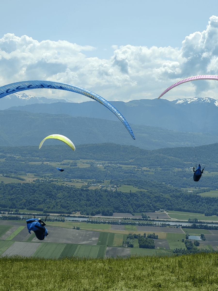 Kijken naar livetracks: vermaak of leerzaam? 